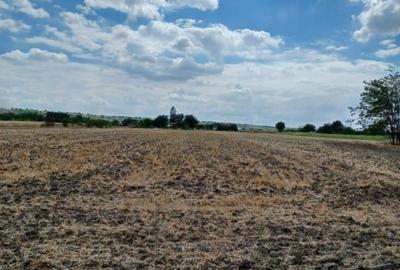 Teren Construcții intravilan de 6000 mp, în Crivăț - 2