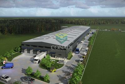 Teren Construcții intravilan de 10000 mp, în Nord - 2