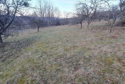 Teren de 50 mp, în Iara - 7