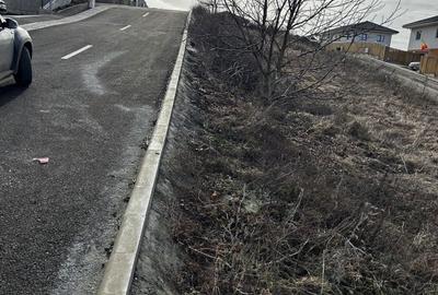 Spațiu comercial, în Chinteni - 2