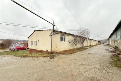 Hala industriala 1200 mp utili de inchiriat in Cisnadie - 11