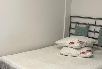 Garsoniera Pța victoriei Titulescu - 3