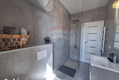 Apartament cu 2 camere, mobilat în Turnișor - 2