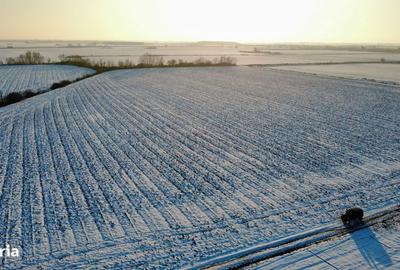 Teren de 17800 mp, în Giroc