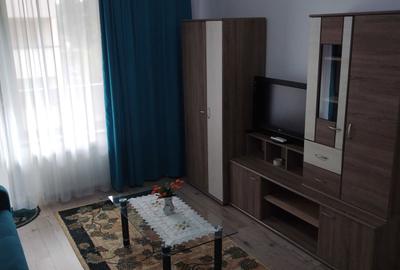Garsonieră decomandată în Bucium - 6