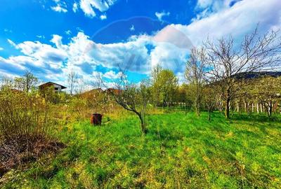 ZONA PREMIUM-teren pentru CONSTRUCTIE BLOCURI/LOCUINTE MIXTE - 5