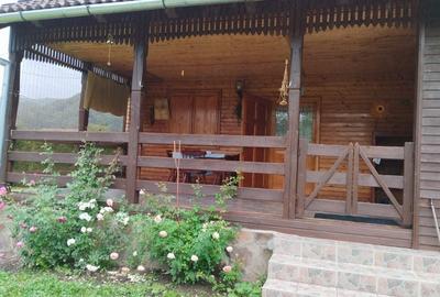 Casa 3 camere,100 mp, 565mp teren,1 baie,1 garaj 0% comision - 9