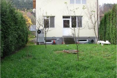 Casa Caras-Severin Resita Calnic - 11