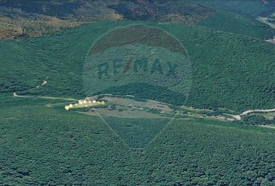 Teren agricol extravilan de 2800 mp, în Central - 31