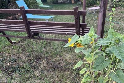 Casă cu 3 camere cu Teren 500 Mp în Oncea - 4