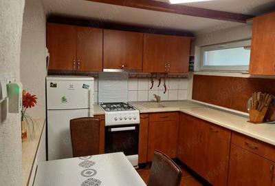 Vind 2 case Carei Satu-Mare,singur in curte - 9