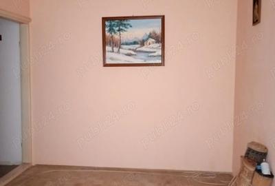 Apartament cu 2 camere semidecomandat în Valea Rosie - 6
