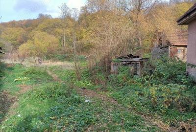 Casă cu 4 camere cu Teren 2878 Mp în Dognecea - 1