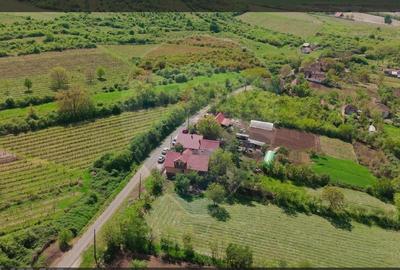 Teren Construcții intravilan de 3225 mp, în Șiria - 4