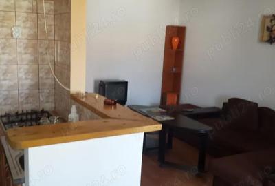 Apartament cu 2 camere decomandat în Delfinariu - 4