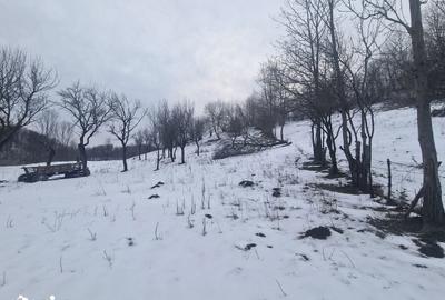 Casă cu 4 camere cu Teren 12000 Mp în Central - 7