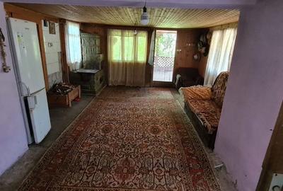 Casă cu 4 camere în Davidești - 3