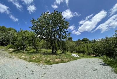 Parcela de 8,86 ari zona Valea Rosie - 1