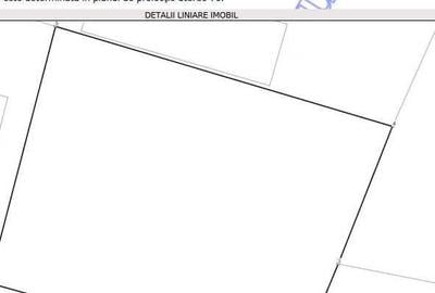 Spațiu comercial, în Păulești