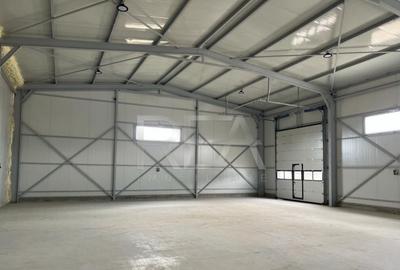 Hala de inchiriat in Domnesti / Centura - 2