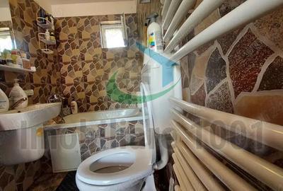 Curtuiusu Mare, casa 4 camere, suprafata utila 105 mp, teren 2431 mp - 17