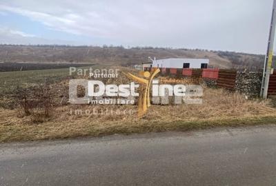 Teren Construcții intravilan de 3200 mp, în Girov - 2