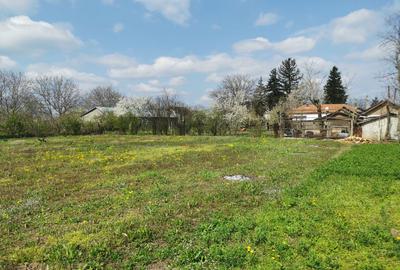 Spațiu comercial, în Costești - 5