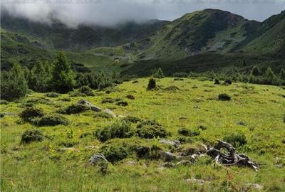 SUPER OPORTUNITATE, DE VANZARE O PROPRIETATE SPECIALA, MUNTE - 5