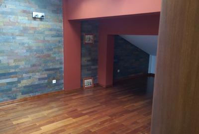 Vila de inchiriat - Pipera (cortina North) - Aviatiei - 15