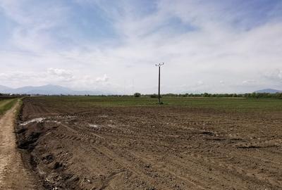 TEREN AGRICOL DE VANZARE - BOD - BRASOV 4,5 HA - 7