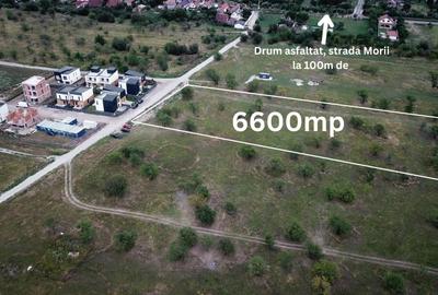 Teren Construcții intravilan de 6600 mp, în Central