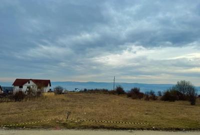 Teren intravilan 3500 mp cu vedere panoramica asupra Clujului, Dambul Rotund - 8