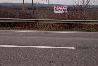 Teren de 10000 mp, în Dorolț - 2