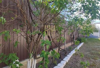 Casă cu 3 camere cu Teren 1790 Mp în Filipeștii de Pădure - 11