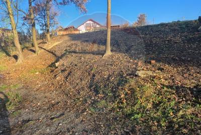 De vanzare teren intravilan in Recea, ultima parcela disponibila! - 10