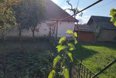 Casă cu 6 camere cu Teren 2900 Mp în Gurbediu - 10