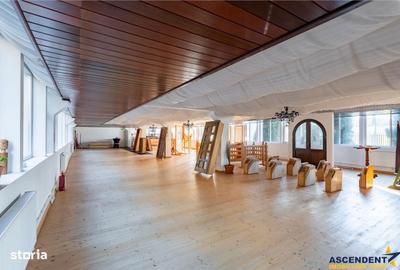 Spațiu comercial, de 489 mp, în Central - 3