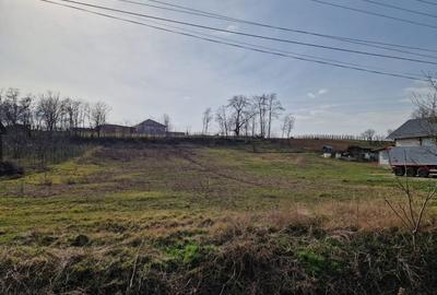 Teren - Roman  -Trifesti Teren - Roman  -Trifesti - 1