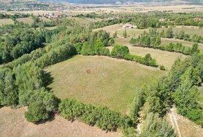 Teren intravilan, priveliste deosebita - 13