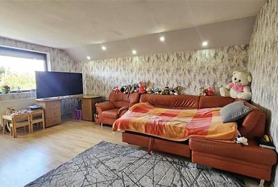 CASA INDIVIDUALA CU PISCINA DUMBRAVITA VATRA VECHE - 14
