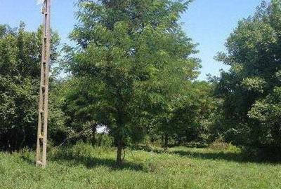 Casa-Spa?iu industrial comercial produc?ie - 3