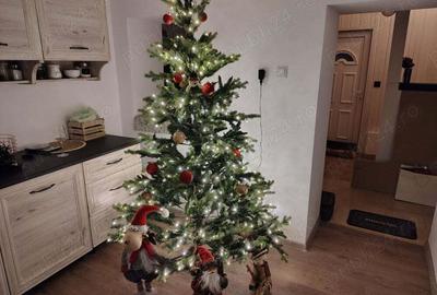 Vand vila individuala Sinaia, semicentral - 10