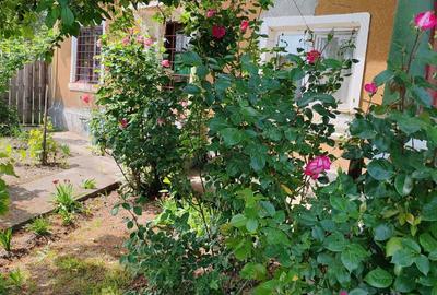 Teren cu casa batraneasca de vanzare - 2