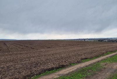 Teren de 10000 mp, în Vest - 15