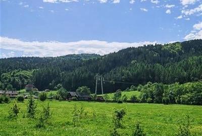 Teren cu proiect casa, in vecinatatea padurii Bradet, Sacele, Brasov - 3