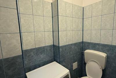 Apartament cu 3 camere decomandat în George Enescu - 8