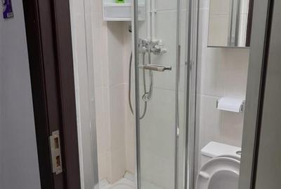 Inchiriere garsoniera temen lung/regim hotelier in Piata Al. Lahovari, Bucuresti - 14