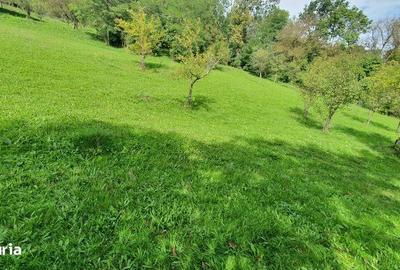 Teren de 2200 mp, în Sălciua - 5