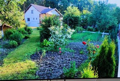 Casă cu 6 camere în Moreni - 2