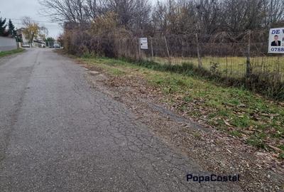 Tunari - Camil Petrescu teren 1000 mp deschidere 23 ml, electricitate, canal - 7